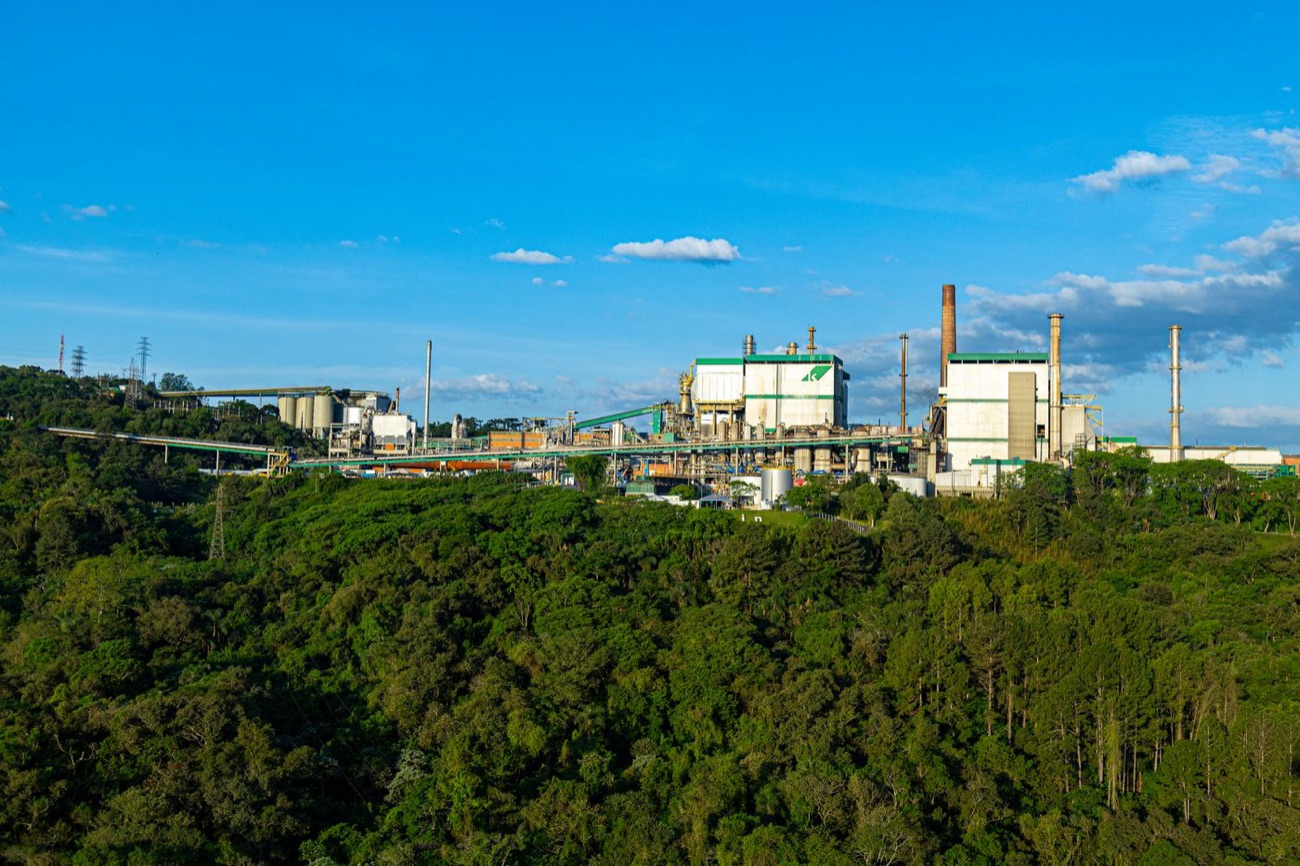 Paper manufacturing plant set within green forest